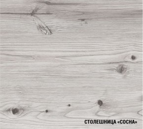 АСАЯ Кухонный гарнитур Мини 1000 мм в Новом Уренгое - novyy-urengoy.mebel-74.com | фото