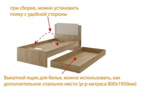Дуглас (подростковая) М14 Кровать в Новом Уренгое - novyy-urengoy.mebel-74.com | фото