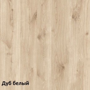 Эйп Шкаф для одежды 13.334 в Новом Уренгое - novyy-urengoy.mebel-74.com | фото