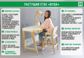 Комплект растущий стол и стул 38 попугаев «Вуди» (Серый, Без покрытия) в Новом Уренгое - novyy-urengoy.mebel-74.com | фото