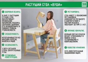 Комплект растущий стол и стул с чехлом 38 попугаев «Вуди» (Белый, Без покрытия, Салют) в Новом Уренгое - novyy-urengoy.mebel-74.com | фото