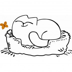 Кровать двухуровневая Кот № 900.1 ЛЕВАЯ (туя светлая/белый) в Новом Уренгое - novyy-urengoy.mebel-74.com | фото