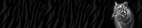 Кухонный фартук Фауна 055 МДФ матовый (3000) Fauna в Новом Уренгое - novyy-urengoy.mebel-74.com | фото
