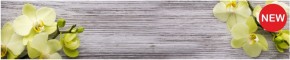 Кухонный фартук КМ 09 Композит глянец (3000) в Новом Уренгое - novyy-urengoy.mebel-74.com | фото