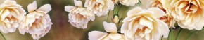 Кухонный фартук Цветы 066 МДФ матовый (3000) Flowers в Новом Уренгое - novyy-urengoy.mebel-74.com | фото