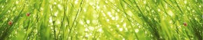 Кухонный фартук Цветы 115 МДФ матовый (3000) Flowers в Новом Уренгое - novyy-urengoy.mebel-74.com | фото