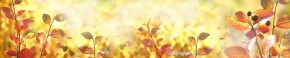 Кухонный фартук Цветы 318 МДФ матовый (3000) Flowers в Новом Уренгое - novyy-urengoy.mebel-74.com | фото