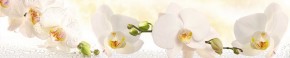 Кухонный фартук Цветы 328 МДФ матовый (3000) Flowers в Новом Уренгое - novyy-urengoy.mebel-74.com | фото
