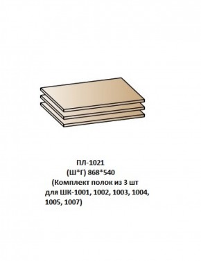 ПЛ-1021 (Комплект полок из 3 шт для ШК-1001, 1002, 1003, 1004, 1005, 1007) в Новом Уренгое - novyy-urengoy.mebel-74.com | фото
