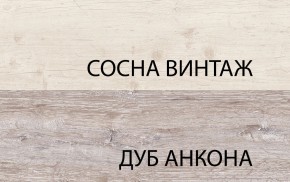 Шкаф 2D1S, MONAKO, цвет Сосна винтаж/дуб анкона в Новом Уренгое - novyy-urengoy.mebel-74.com | фото