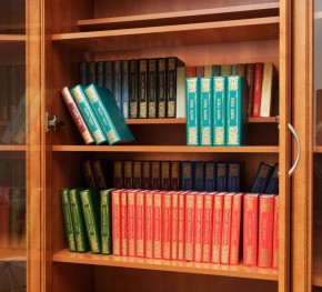 Шкаф для книг арт. 200 в Новом Уренгое - novyy-urengoy.mebel-74.com | фото