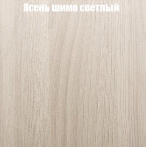 Шкаф-купе «ТАНДЕМ» 2-х дверный в алюминиевом профиле (Дверь К+К) 1200/h2200 в Новом Уренгое - novyy-urengoy.mebel-74.com | фото