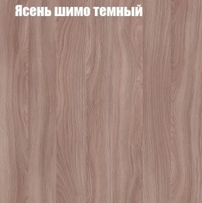 Шкаф-купе «ТАНДЕМ» 2-х дверный в алюминиевом профиле (Дверь К+К) 1200/h2200 в Новом Уренгое - novyy-urengoy.mebel-74.com | фото