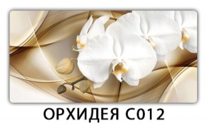 Стол раздвижной Трилогия с фотопечатью Орхидея R041 в Новом Уренгое - novyy-urengoy.mebel-74.com | фото