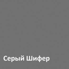 Юнона Шкаф торцевой 13.221 в Новом Уренгое - novyy-urengoy.mebel-74.com | фото