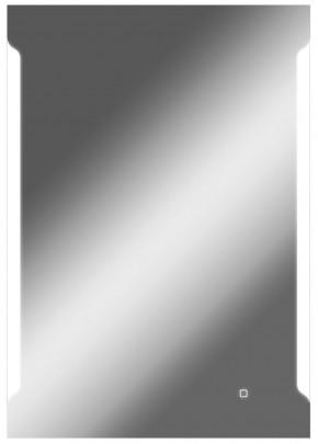 Зеркало Оттава 1000х700 с подсветкой Домино (GL7028Z) в Новом Уренгое - novyy-urengoy.mebel-74.com | фото